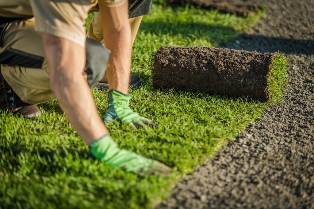 How to Buy Turf & Get the Best Turf Laying Service